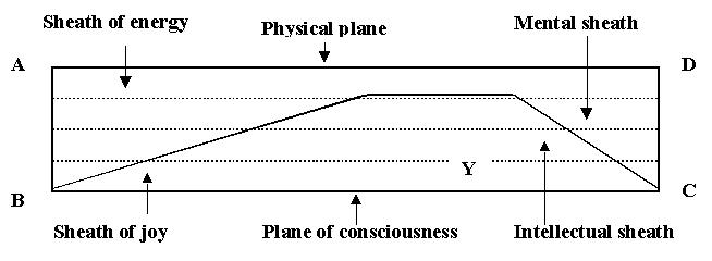 fig8b.jpg