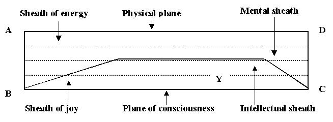 fig8c.jpg