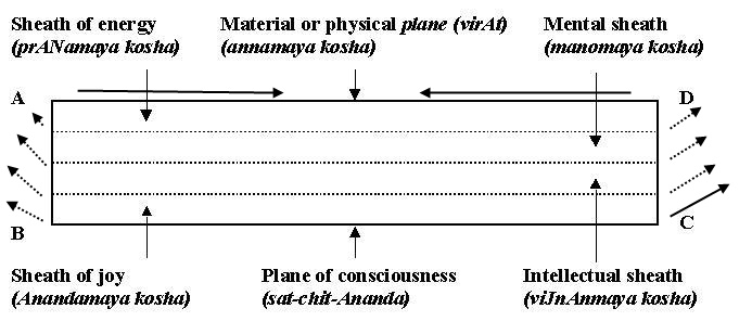 figure13.jpg